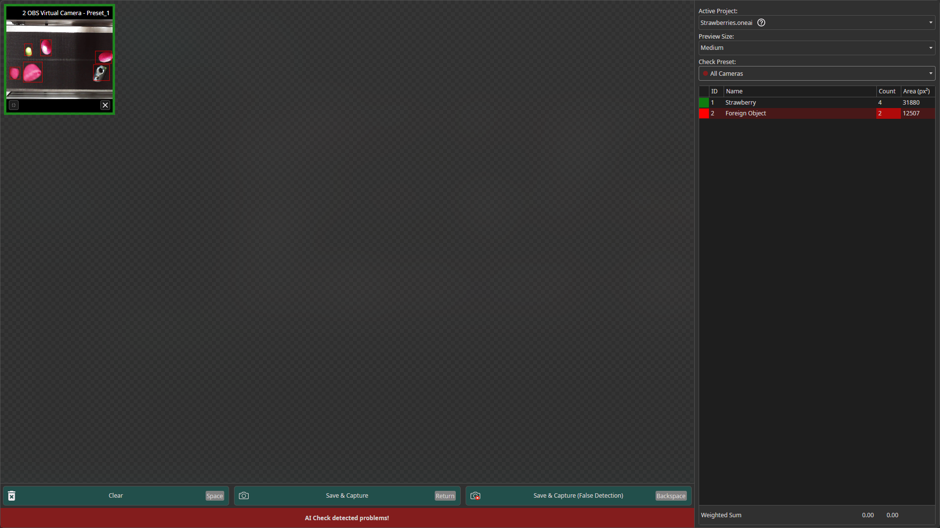 capture fullscreen