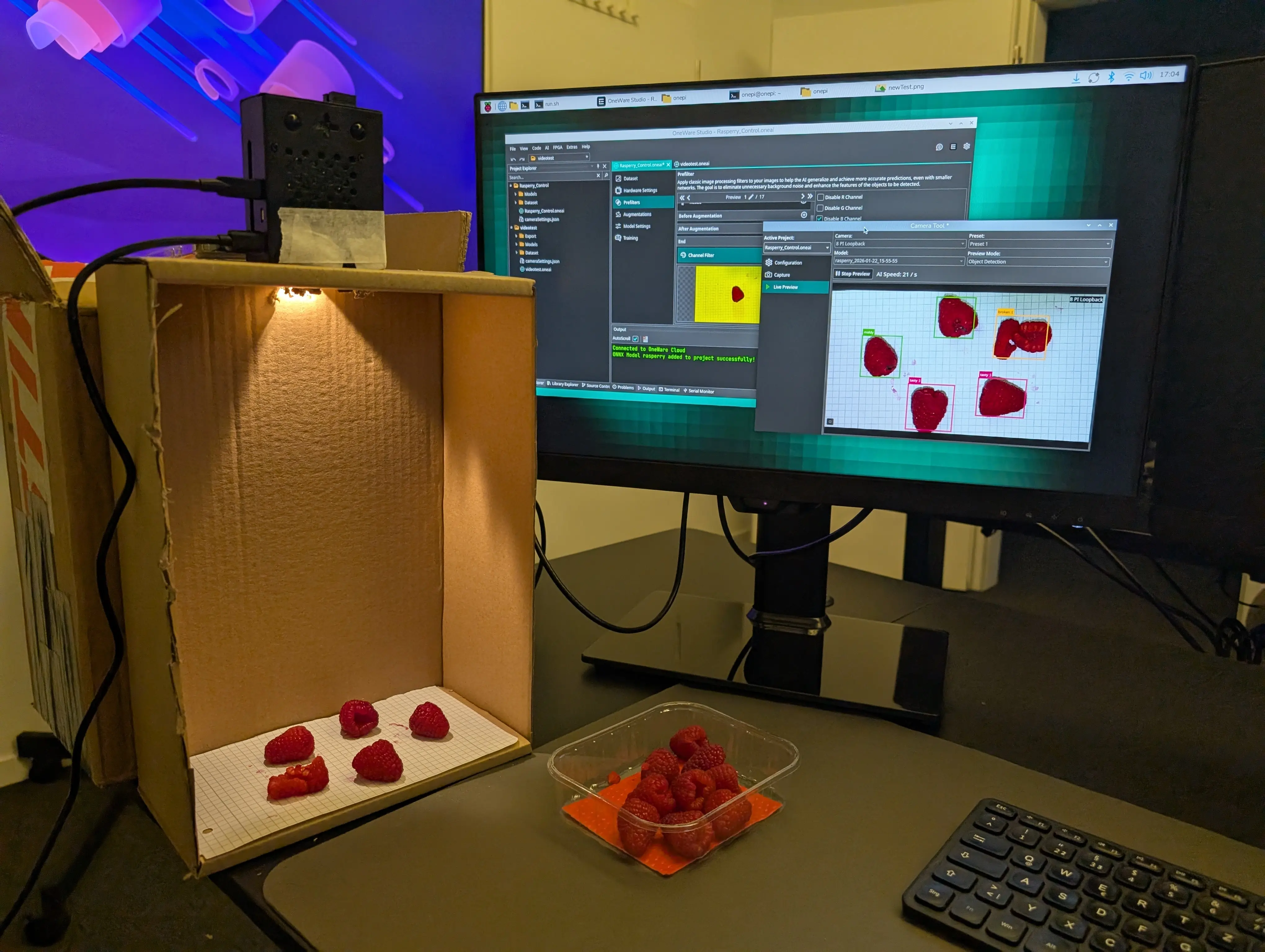 Rasperry Detection on Rasperry Pie