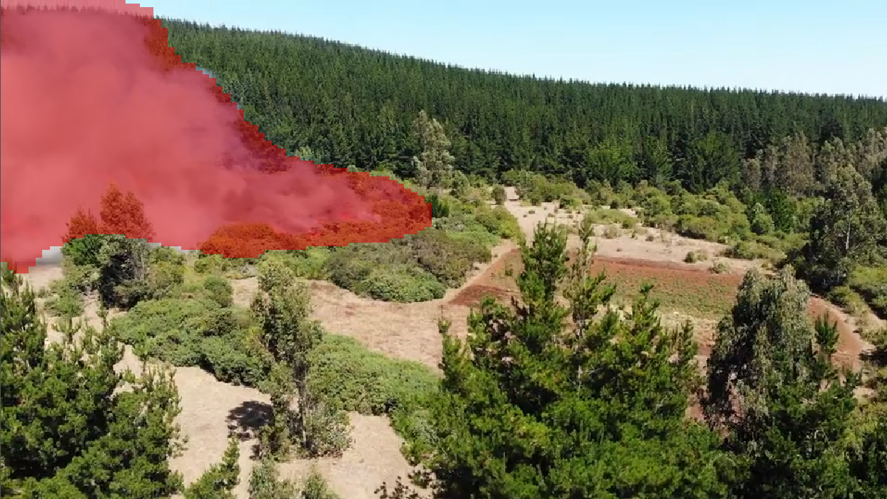 Forest Fire Segmentation Demo