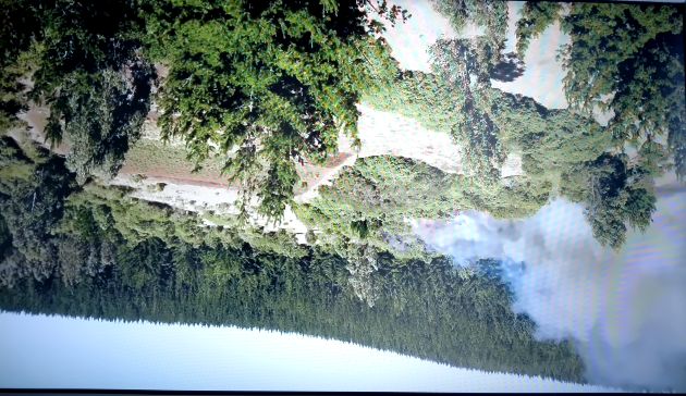 Wildfire drone image 1 - original